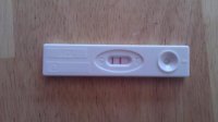 IMAG0804.jpg