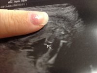 Its a ....jpg
