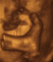 foot.jpg