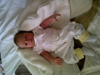 IMG-20120530-00644.jpg