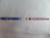 8684fa98.jpg