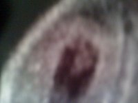 photo-8wkscan.jpg