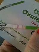 cd20positive.jpg