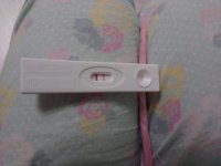 IMAG0954.jpg