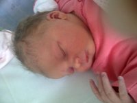 IMG-20120602-00217.jpg