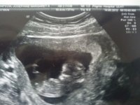 12 week (3).jpg