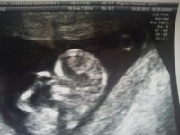 12 week (2).jpg