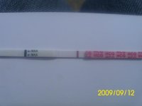 15dpo1.jpg