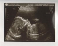 Scan 6.jpg