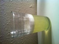 fizz,ending-cup.jpg