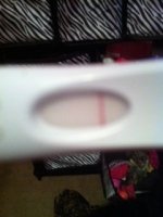 7dpo-invert_opt.jpg