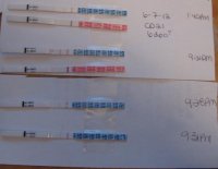 hate wondfo.jpg