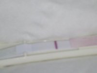 20120607_171420.jpg