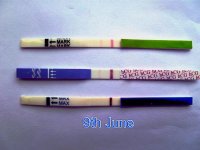 504d65e6.jpg
