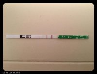 CD13 LH Test.jpg