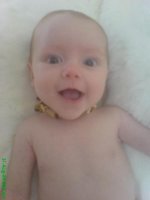 DSC00286.jpg