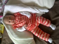 IMG-20120611-00753.jpg