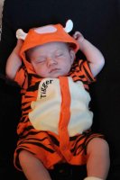 tigger.jpg
