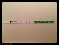 CD 15 LH Test.jpg