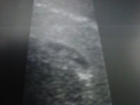 IMG00431-20120612-1101.jpg