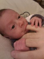 IMG_20120525_233020.jpg