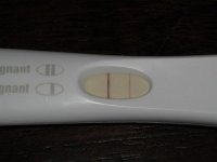 16dpo_sm_2.jpg