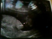 Snapshot_20120605_2.JPG