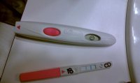 opk+.jpg