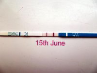 151acdd3.jpg