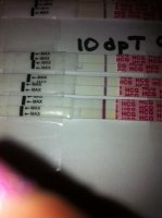 10dpT6.jpg