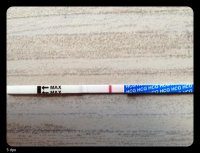 5dpo.jpg