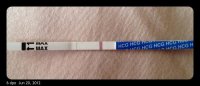 6 dpo.jpg