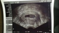 scan 1.jpg
