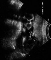 scan0005.jpg