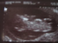 scan 003.jpg