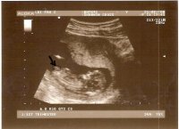 shannons scan.jpg