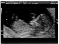 Baby3.jpg
