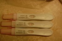 preg tests 6-27-08 003 - Converted.jpg