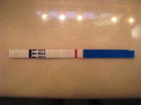 preg tests 195-2.JPG
