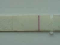 ABCD0019.JPG