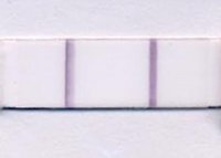 strip scan.jpg