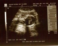 scan 001.jpg