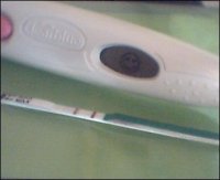 + opk.JPG