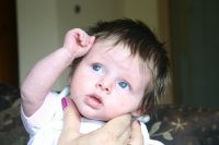 small poppy5.jpg
