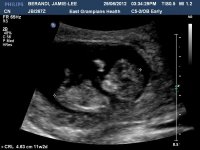 BERANDIJAMIE-LEE20120629153430134.jpg