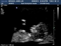 BERANDIJAMIE-LEE20120629153857762.jpg