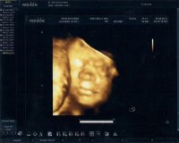 scan0001.jpg