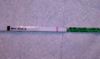 6dpo with flash.jpg