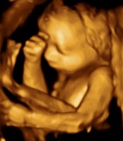 UC BABY_0019.jpg