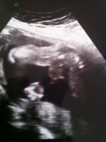 baby potty 2.jpg
